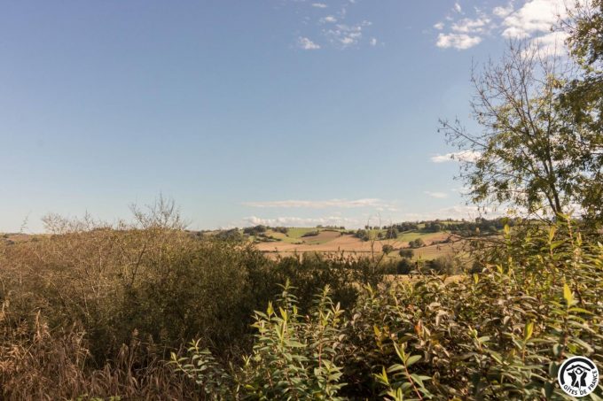 31G401244-55f6b215009d4dfaade18c39790329f9