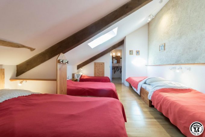 31G401244-a97f078736144066ad453d47b8e0b4d8