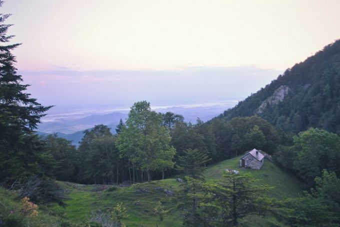 54818b0b-16cf-4f80-bc7b-068579bed108