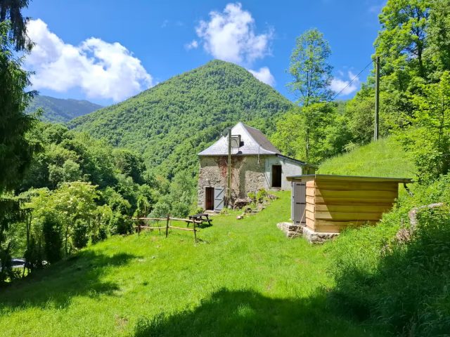 68b682e3-b251-4379-a412-21405e608e21