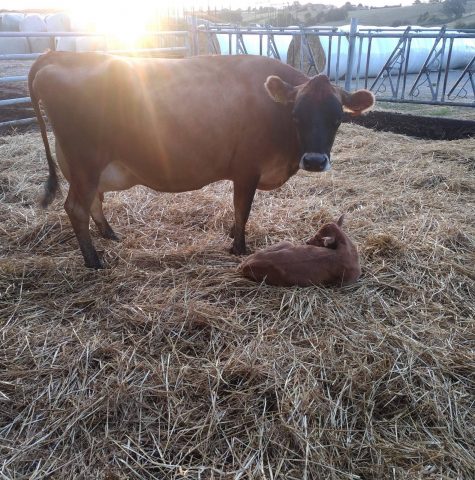 72191633-1127993164059267-2916609331757580288-o