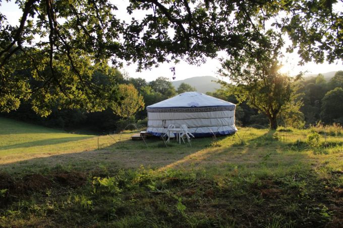 99f0f9ef-bef4-43c5-ae2e-11037d777ebc