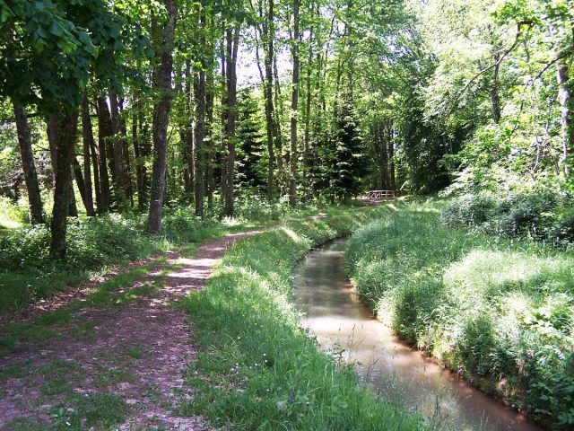 ARBORETUM-Cardeilhac–3-