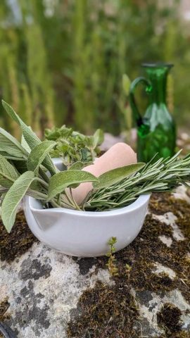 ATELIER-CUISINE—LES-SEL-D-APICIUS