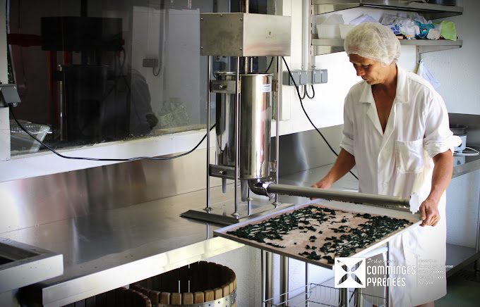 AURIGNAC—Spiruline–Sabine-Pagnac