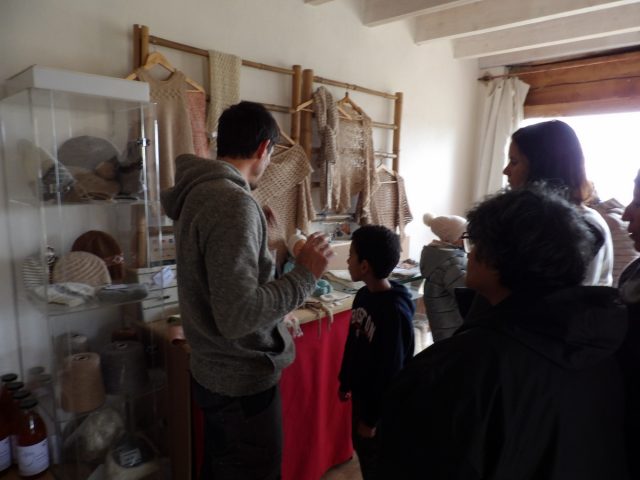 Alpagas-et-colibri–boutique—Gensac-de-Boulogne