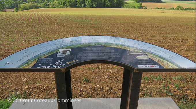 Balesta-table-d-orientation-5C