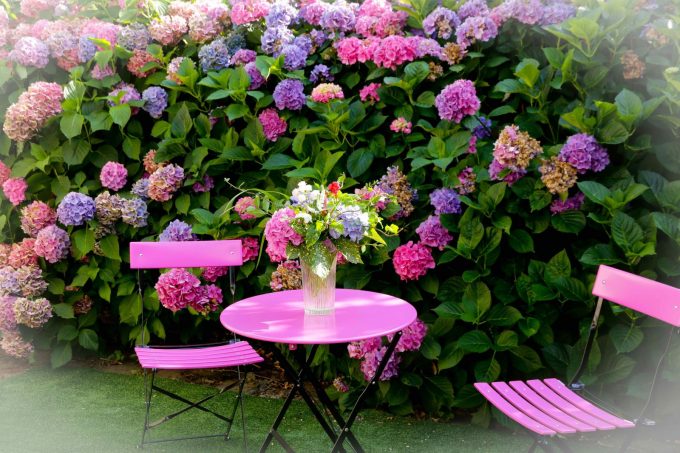 Bouquet-table-chaises-hortensias-reduite-2