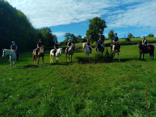 Ecuries-du-Cap-Boudrac-Comminges-Pyrenees