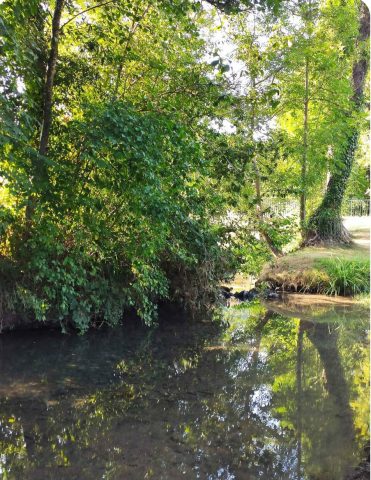 Exterieur—cour-d-eau