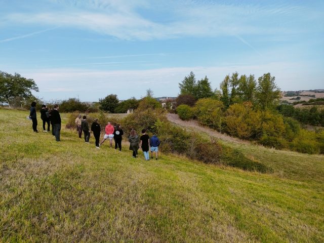 Ferme-Solamoure-Coueilles–17-