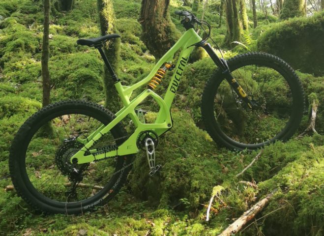 GREEN-mousse-Bucefal-PONLAT-TAILLEBOURG