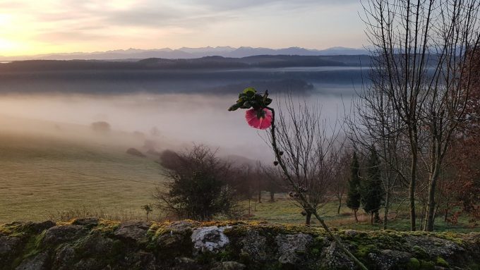 Gite-Chez-Astride–Gensac-de-Boulogne—-paysage