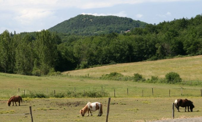 Gite-Ferme-du-Conte-SAINT-MICHEL