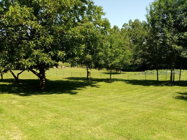 Gite-campagne—Lilhac3