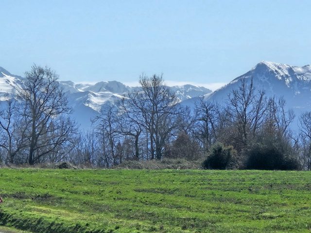 Gite-de-la-foret—panorama-Cardeilhac