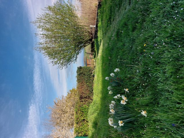 Gite-des-collines–jardins—Cassagnabere-Tournas—Comminges–Pyreenees