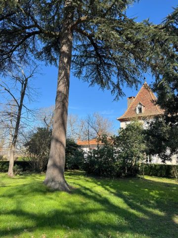 IMG-20250301-WA0076-e1741018222707