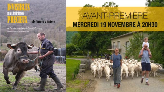 Invisible-mais-infiniment-precieux