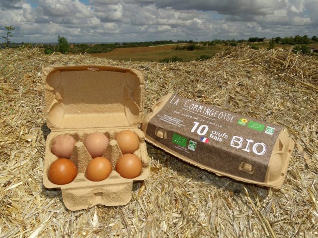 La-commingeoise-agassac-oeufs