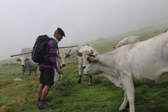 La-ferme-auberge-de-Peguilhan–David-Castex–Peguilhan–CC-Coeur-Coteaux-Comminges–2-