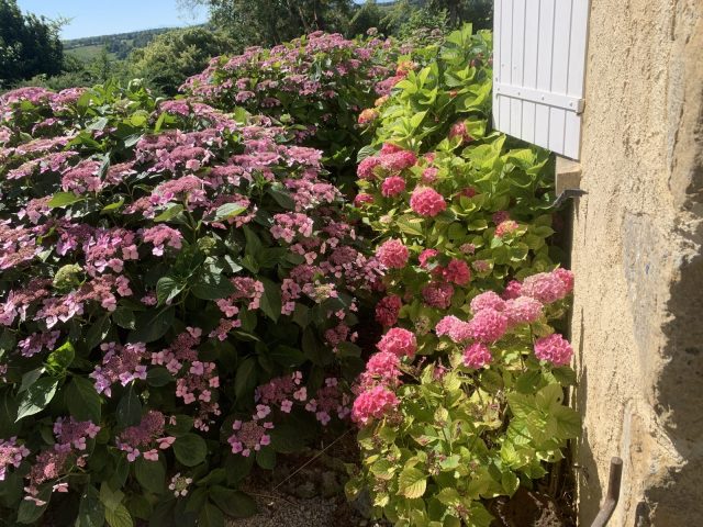 Le-Paradis-Chambre-d-hotes-jardin—Saint-Frajou-Comminges-Pyrenees