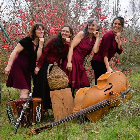 Les-Pikette-Quartet-COmminges-Pyrenees