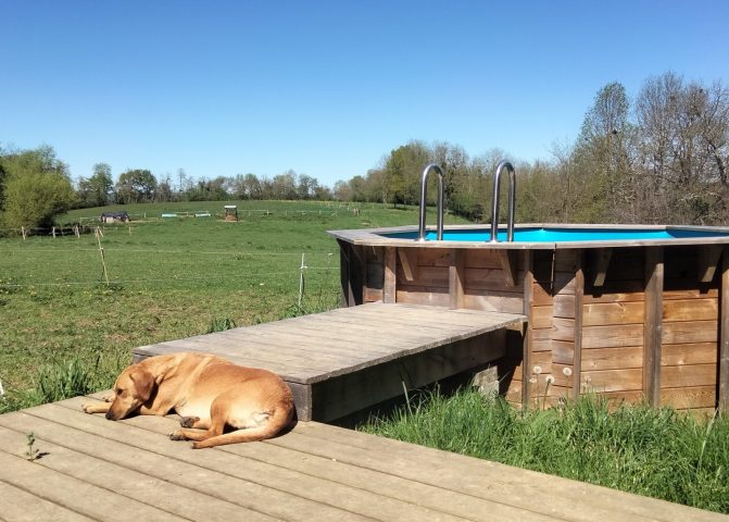 Les-chambres-de-la-Loutre–Piscine