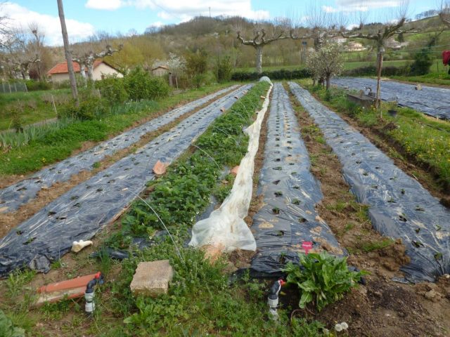 Les-jardins-du-Flouran–l-Isle-en-Dodon