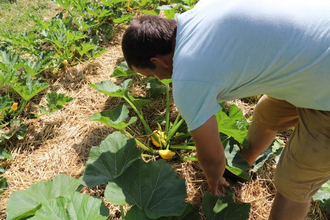 Les-jardins-du-Flouran–maraichage–Forey-Mathieu–CC-Cœur-Coteaux-Comminges–17-