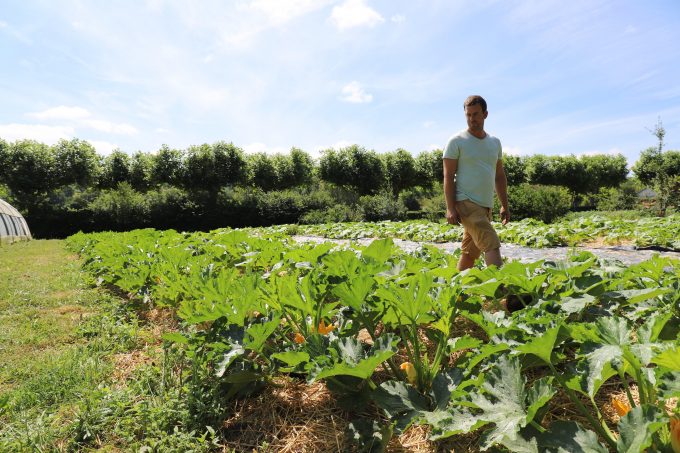 Les-jardins-du-Flouran–maraichage–Forey-Mathieu–CC-Cœur-Coteaux-Comminges–3-