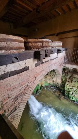 Lobersane—Saint-Laurent–eau-Comminges-Pyrenees