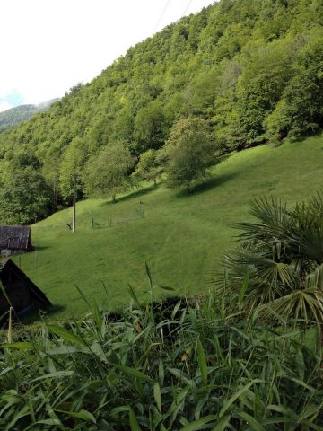 Maison-du-Coue-Gite-Verdure-Vue