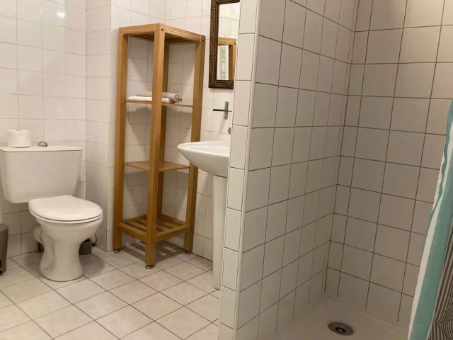 Maisonnette-a-L-Isle-en-Dodon–salle-d-eau-Comminges-Pyrenees