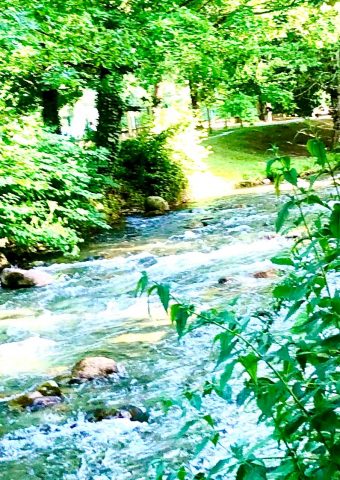 Manselon-Benoit-Villa-Raphael–9-