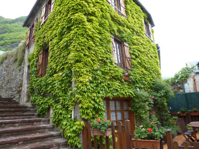 Mme-Baron-facade-pour-guide