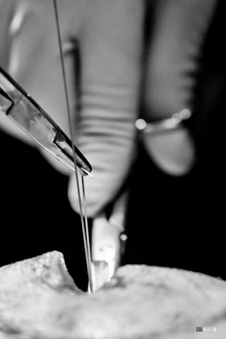 PHOTO-AFFICHE-ET-MAILING