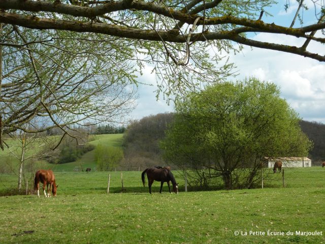 Prairies-040417-10