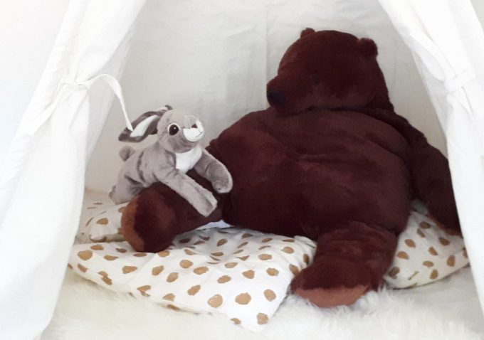 Pyrenees-Passions-3—kidsroom—Vignemale