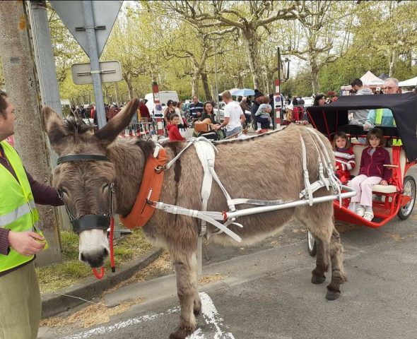 Screenshot-20240626-104733-Facebook