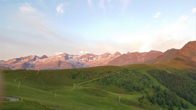 VIALE-GENOT-Laurence–1-