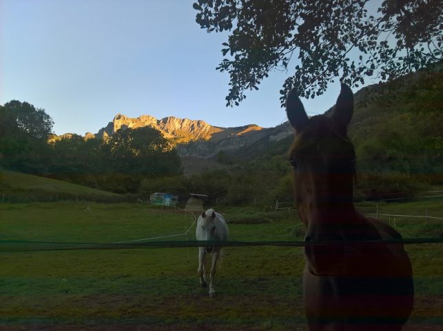 WP-20191008-08-44-16-Pro