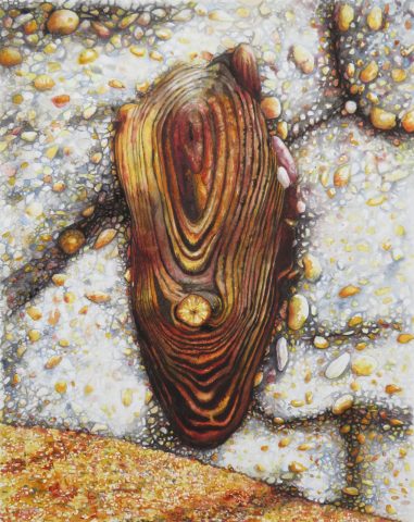 bois-beton-Morbihan-3