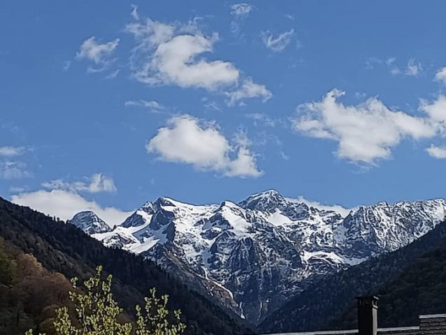 e34509e8-994e-4f63-ad3c-b937e03a9a87