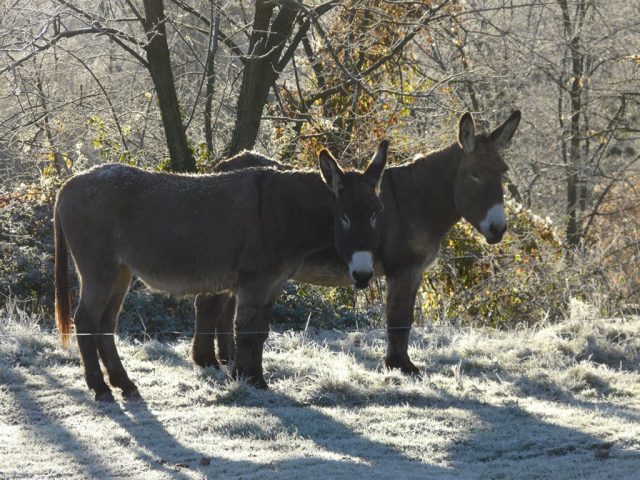 gite-val-bio-azau-gd14