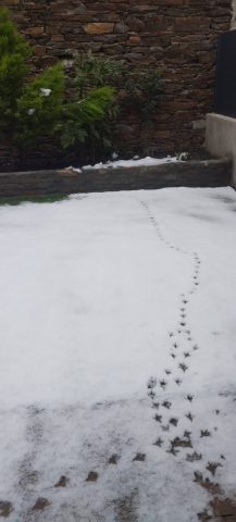 studio-villa-chantal-luchon-pyrenees31–6-