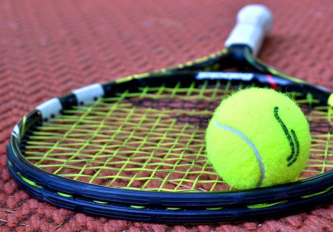 tennis-racket-tennis-ball-sport