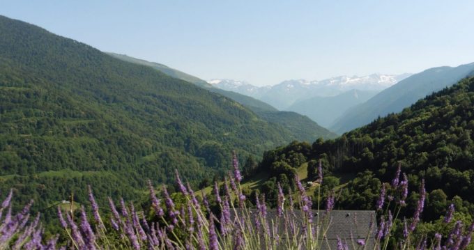 vue-1-fleurs-1-1630×860